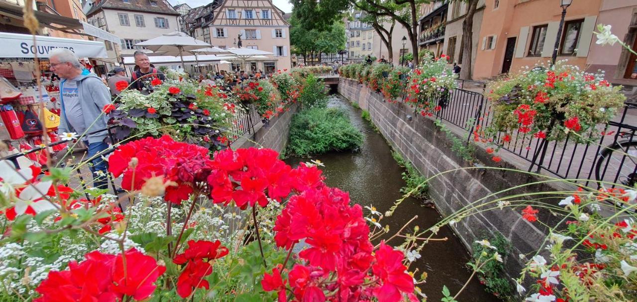 Le Green St Leon : Lit Queen Size * Wifi * Ideal Couple Colmar Exterior photo